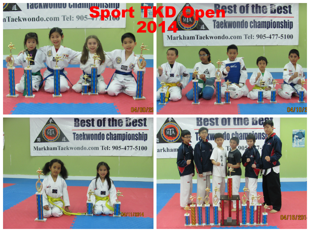https://markhamtaekwondo.files.wordpress.com/2012/11/sport-tkd-group.jpg
